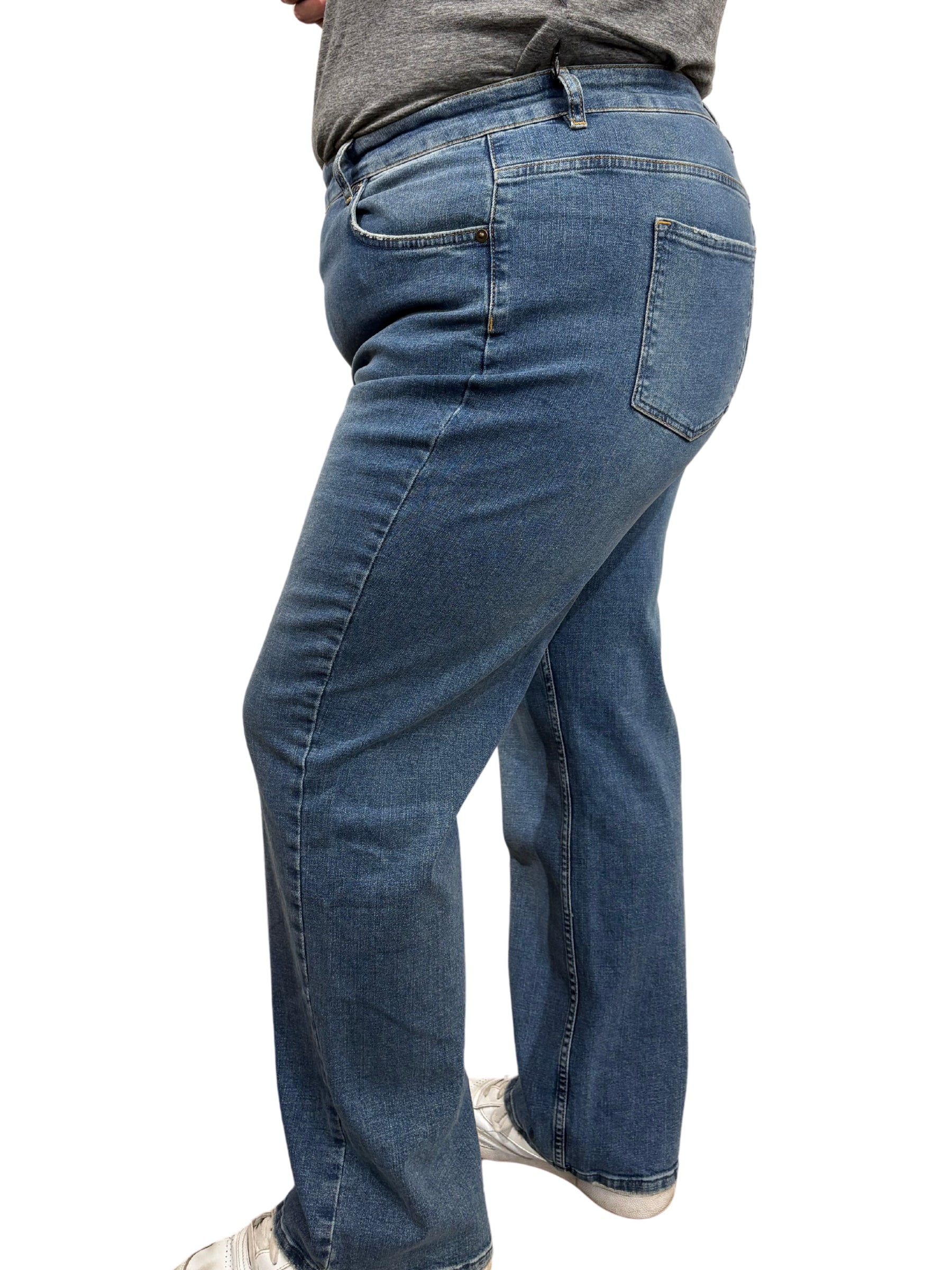 Jean Droit Taille Haute Denver-DIS2 Taille Plus (Dim Sky) de Lola Jeans