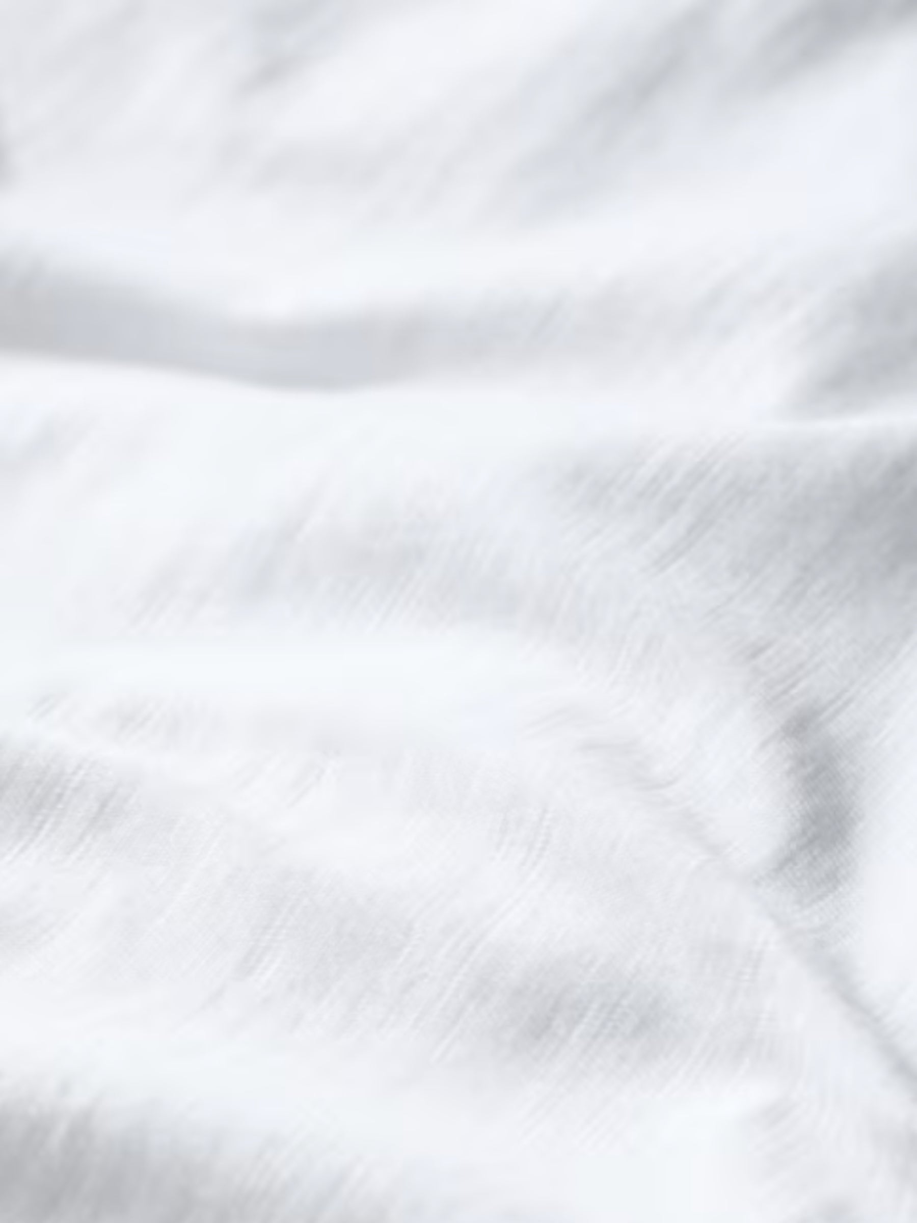 T-shirt Camerance en coton biologique Taille Plus - Salt