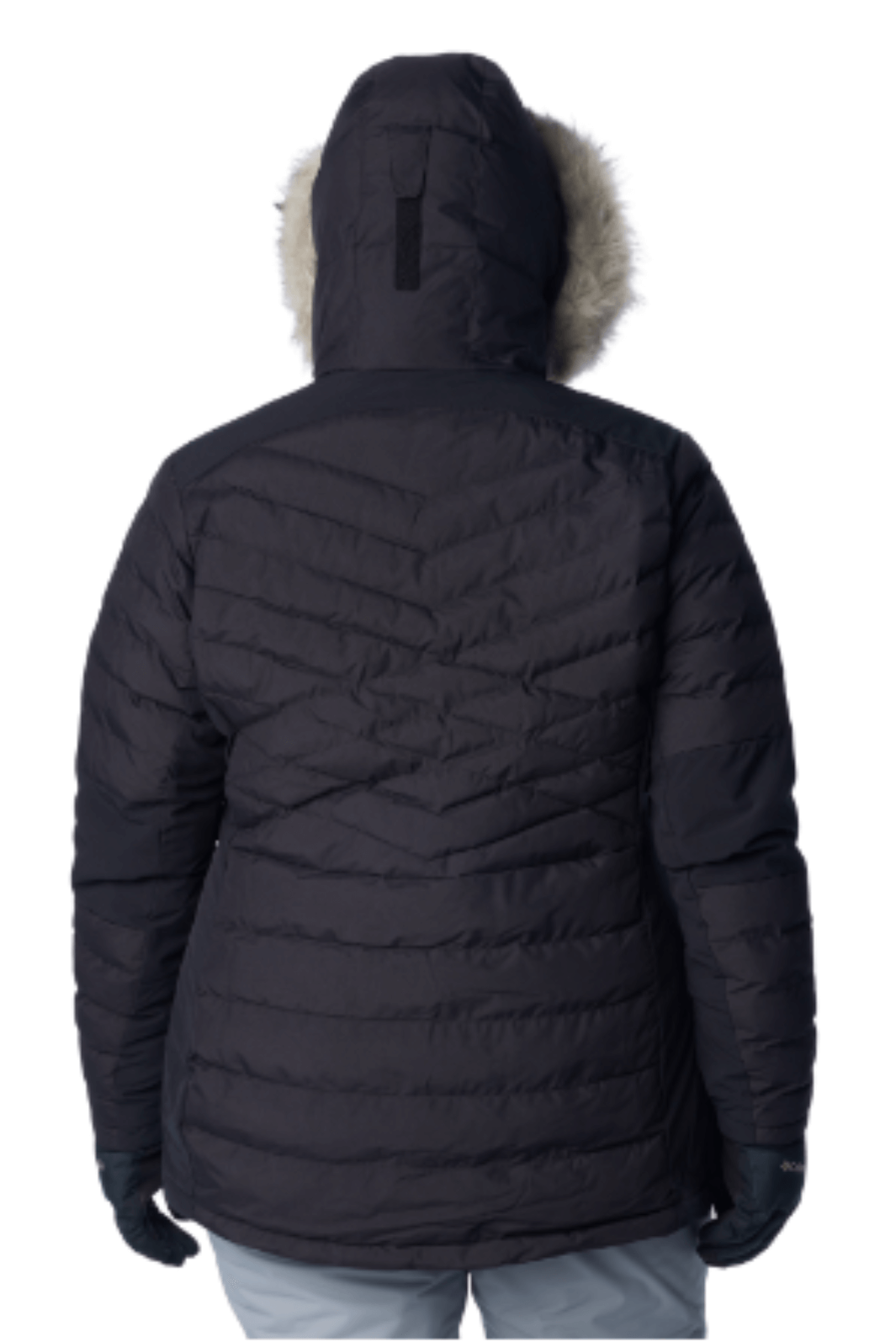 Manteau Isolé Bird Mountain II Taille Plus de Columbia