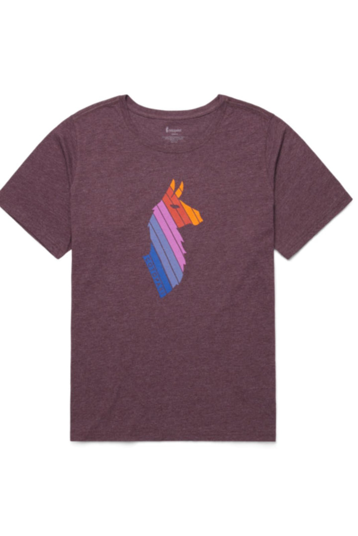 T-Shirt Taille Plus Organic Llama Stripes de Cotopaxi