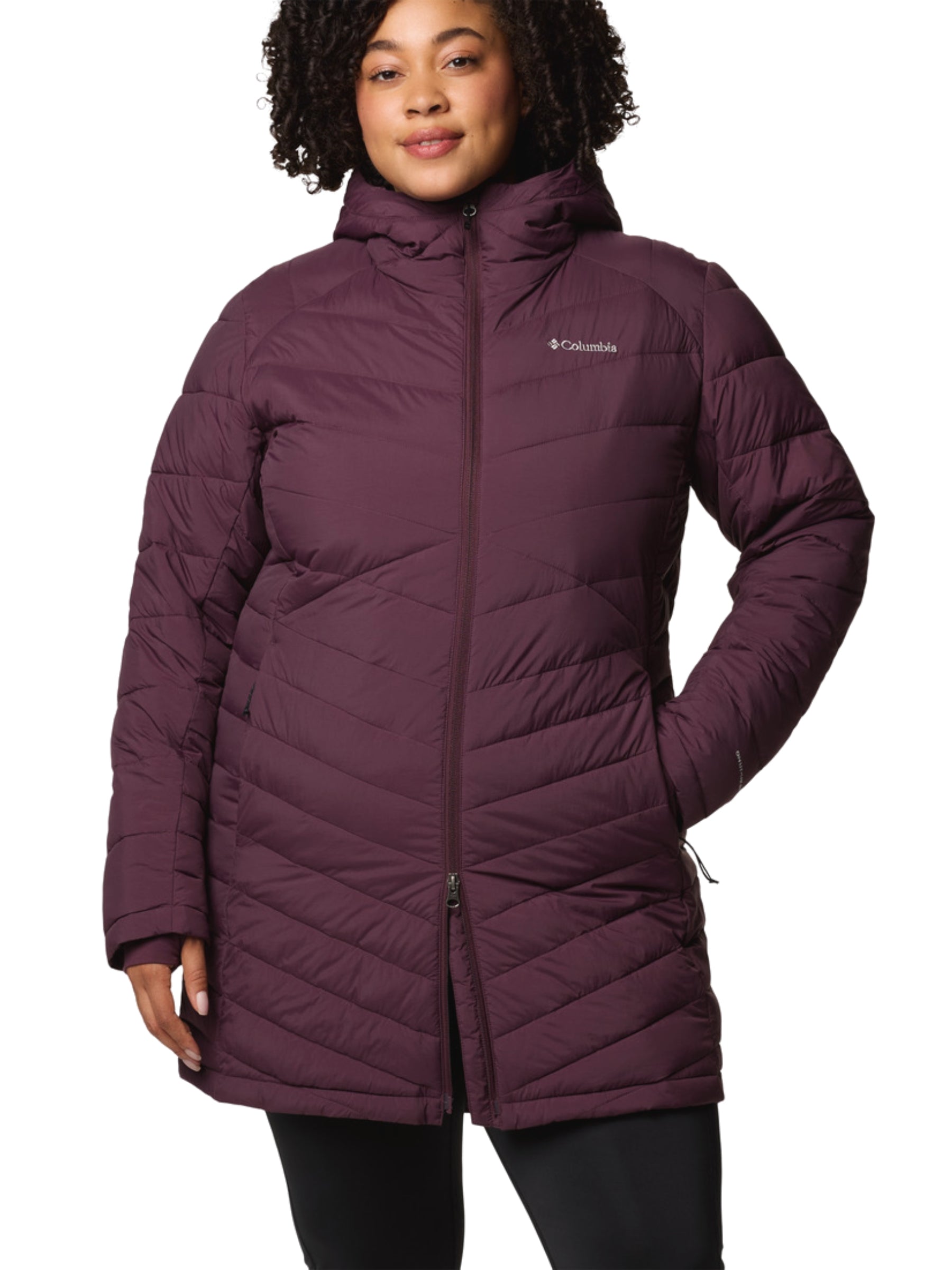 Joy Peak II Plus Size Hooded Coat - Moonvista