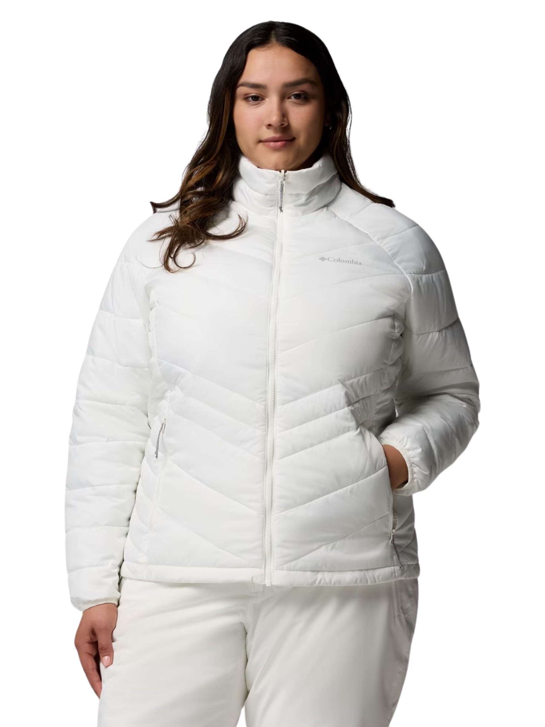 Whirlibird V Plus Size Interchangeable Print Coat - Dark Stone Snowflight