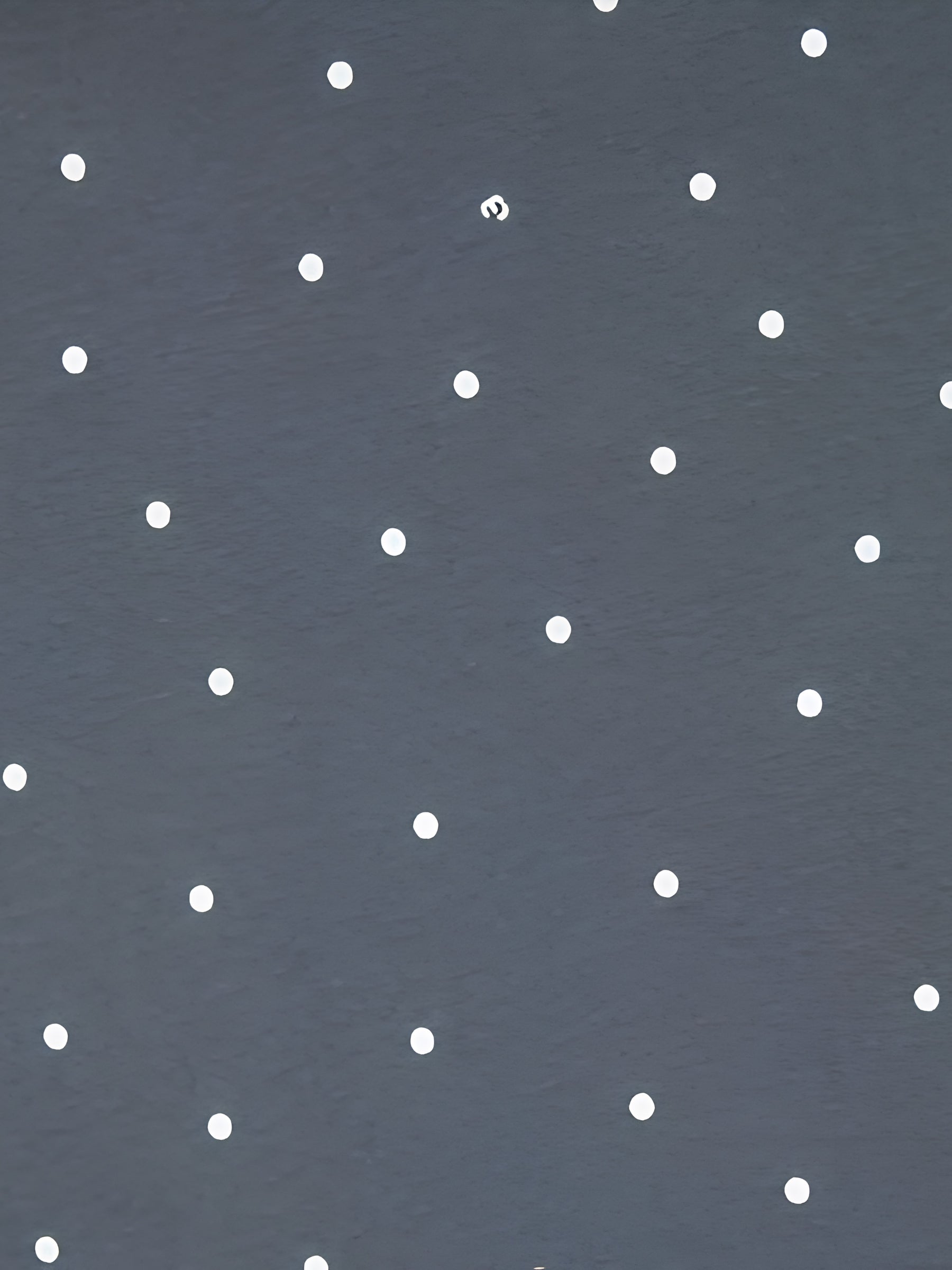 Shimona Long Dots Plus Size Long Sleeve Tee - Dark Grey
