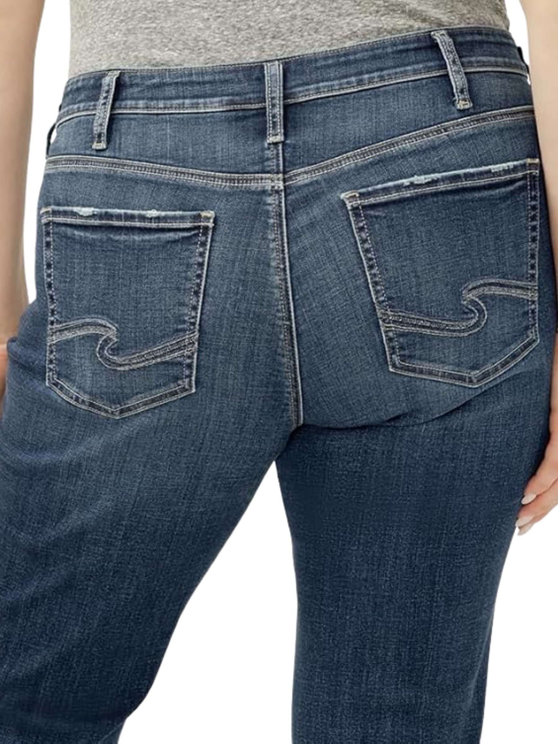 Suki Skinny Plus Size Jeans - Orion